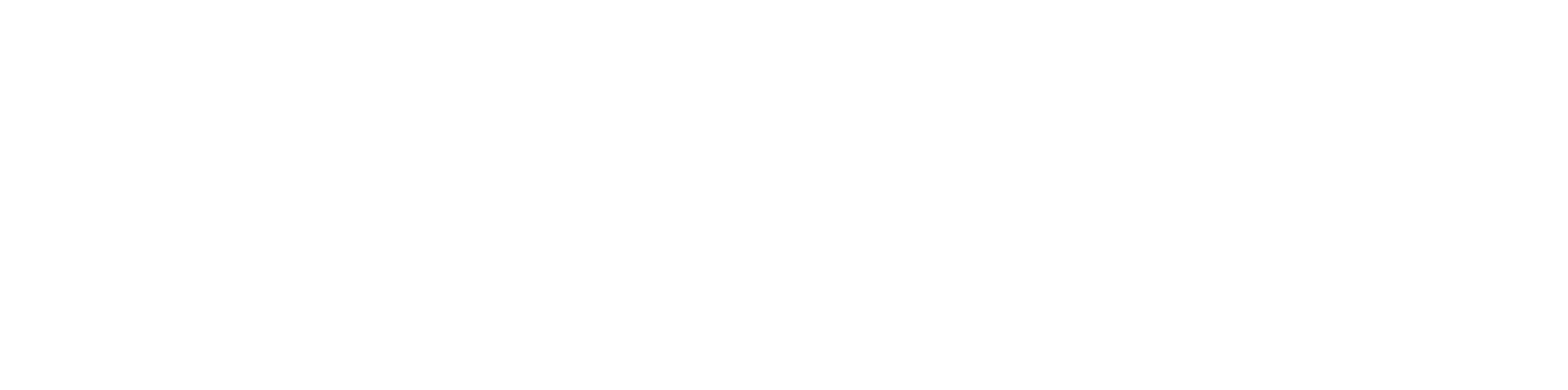 Cyberlab Logo Negative White